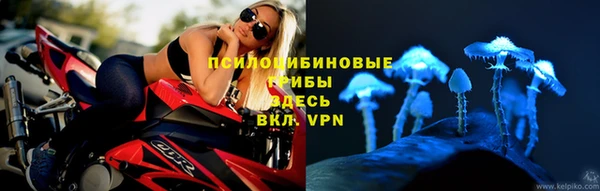 бошки Белокуриха