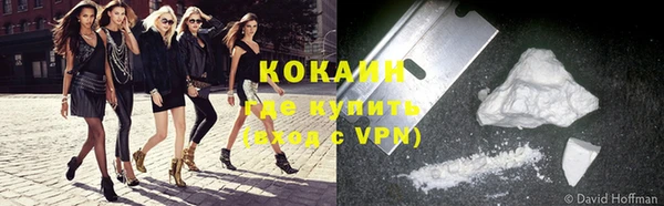 бошки Белокуриха